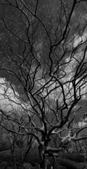 20120311-IMG_2268-2
