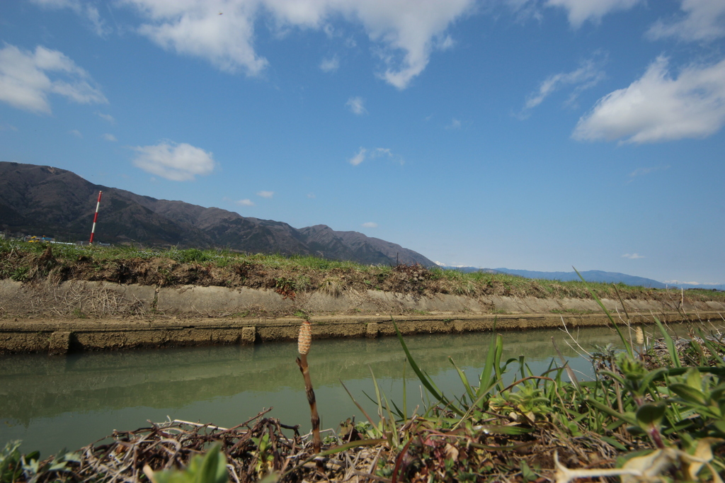 春～田んぼ～あぜ道
