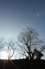 冬～堤防～地蔵堂