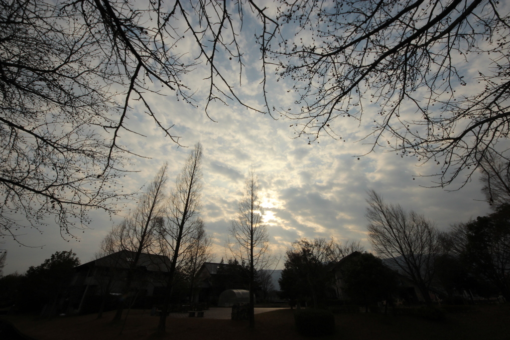 冬～空～太陽Ⅱ