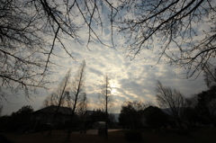 冬～空～太陽Ⅱ