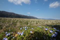 春～田んぼ～野上がり・・・
