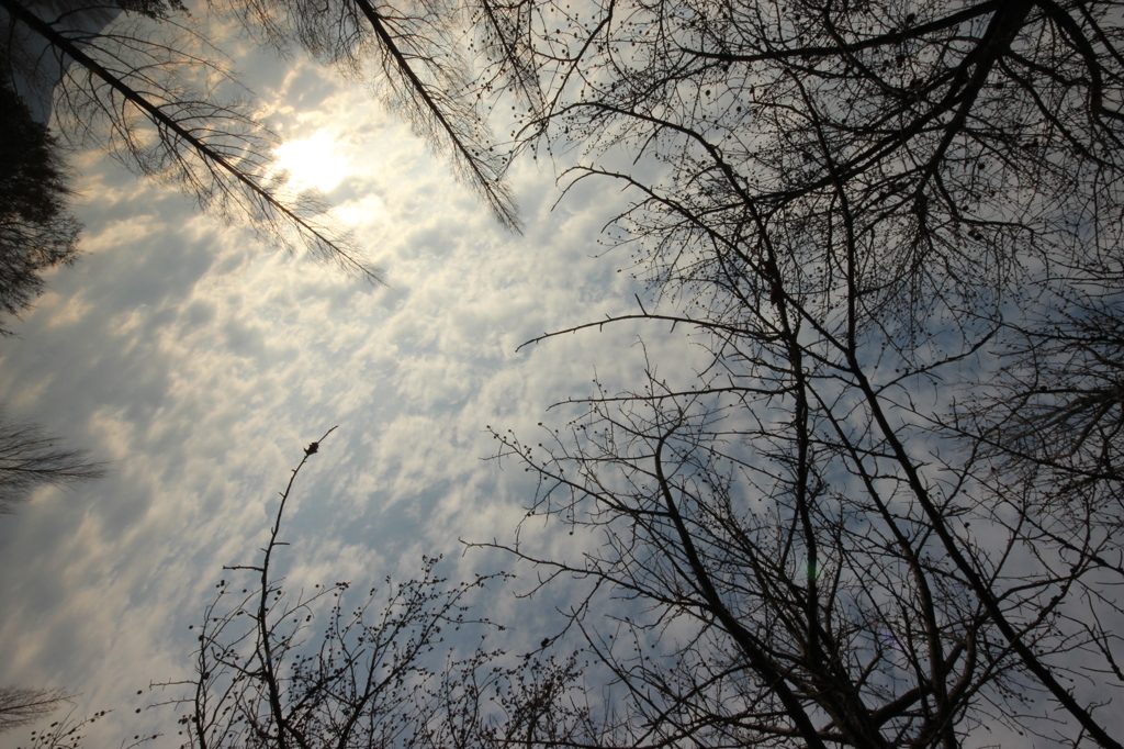 冬～空～太陽Ⅰ