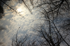 冬～空～太陽Ⅰ