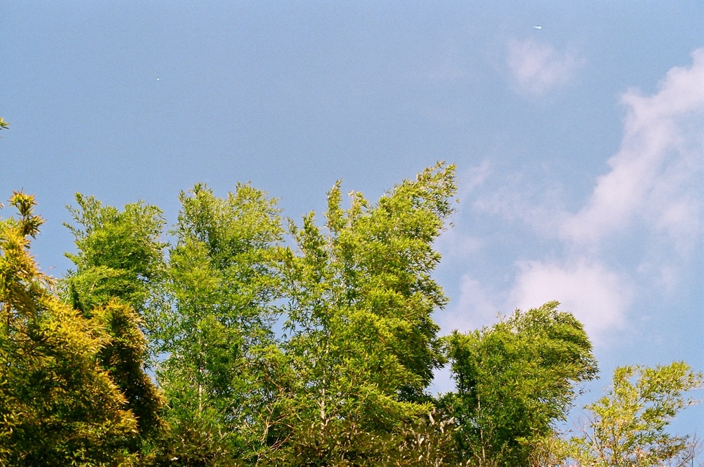 etu/tien tien