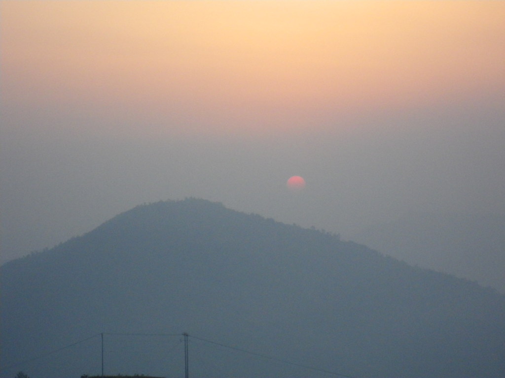 IMGP0187