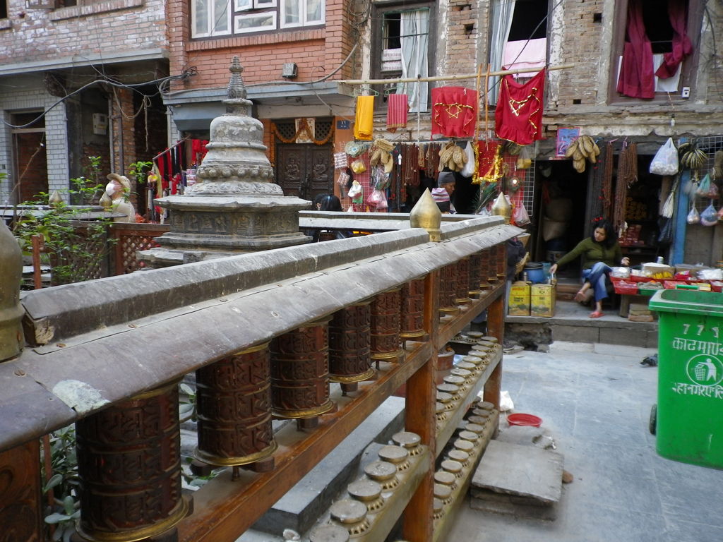 IMGP0296
