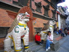 IMGP0316