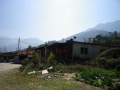IMGP0135