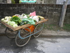 IMGP0194