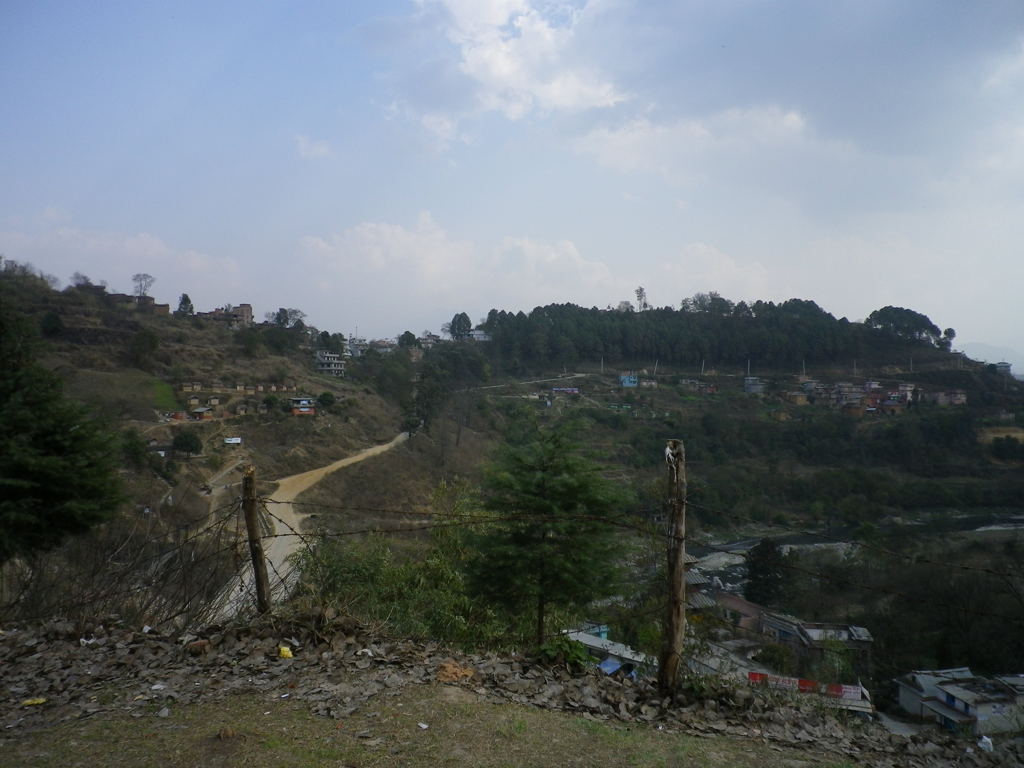 IMGP0262
