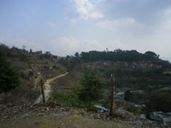 IMGP0262