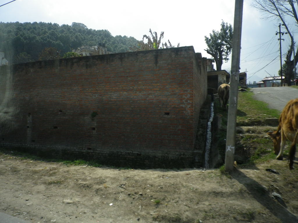 IMGP0259