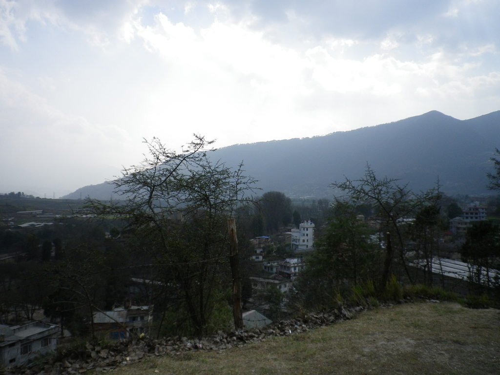 IMGP0264