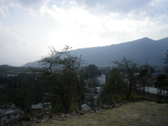 IMGP0264