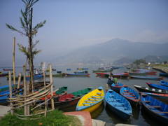 IMGP0197