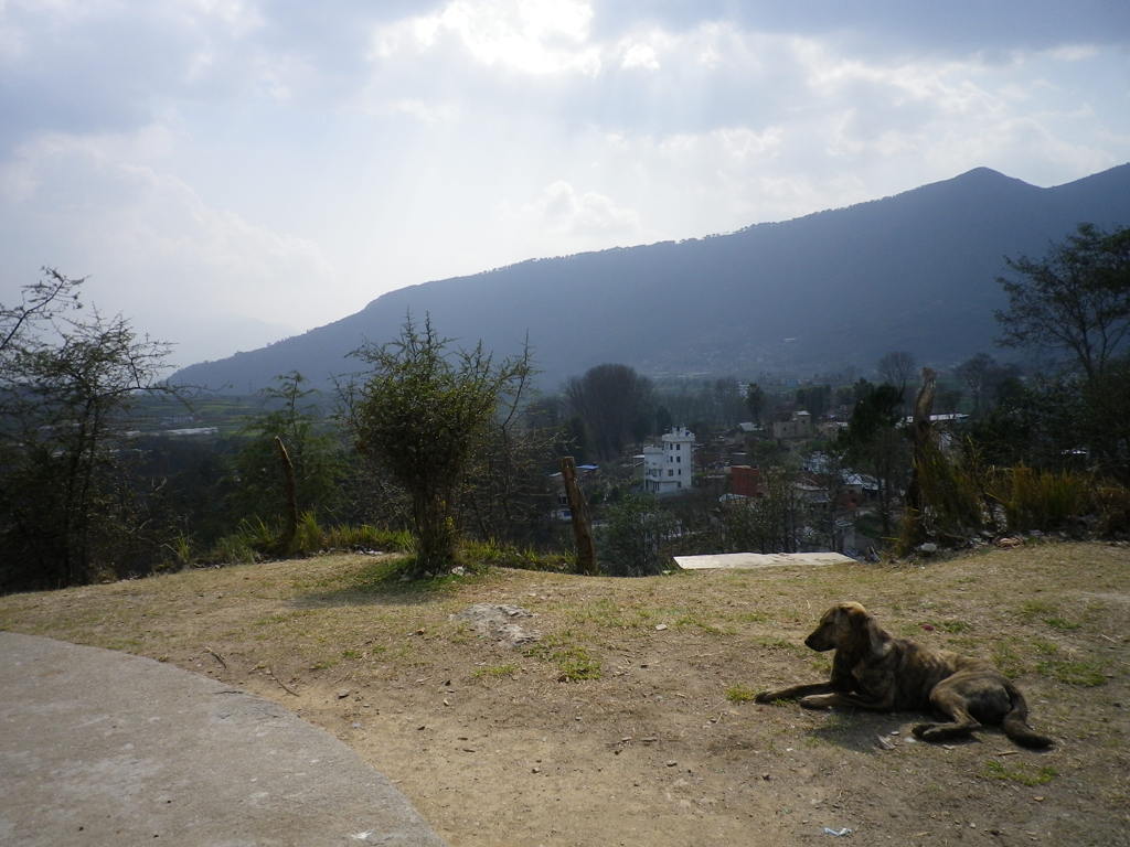 IMGP0260