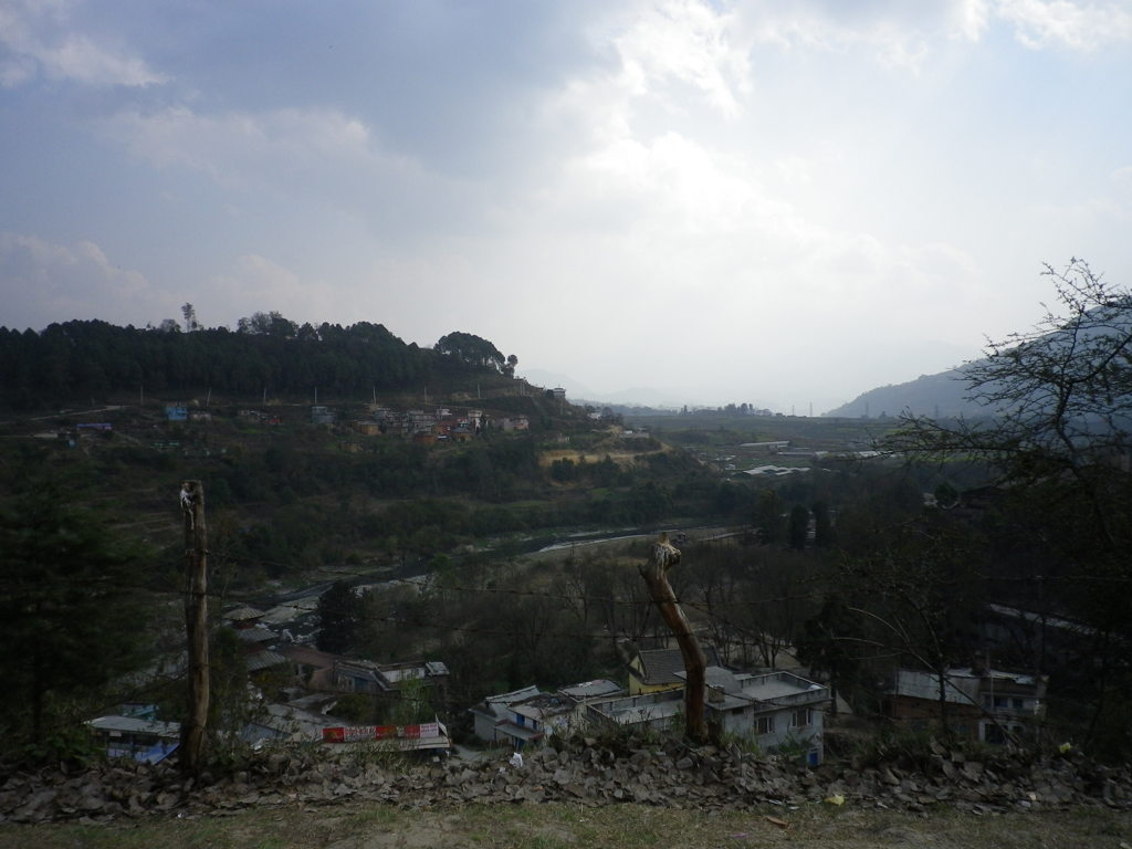 IMGP0263