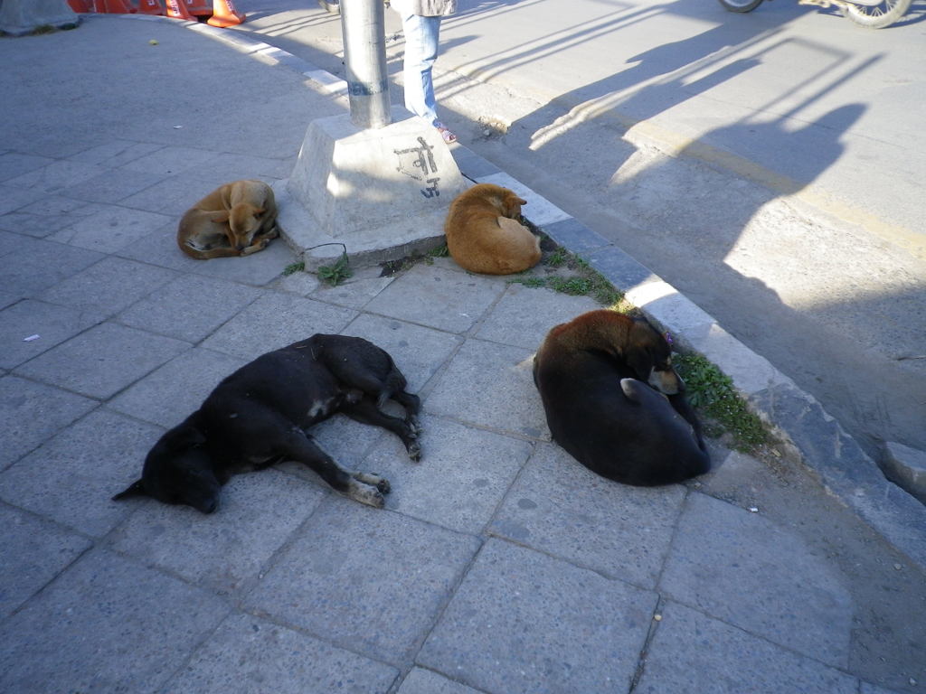 IMGP0101