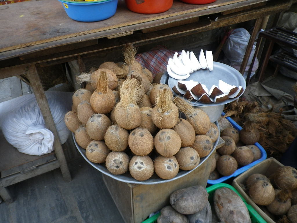 IMGP0280