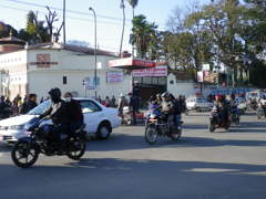 IMGP0103