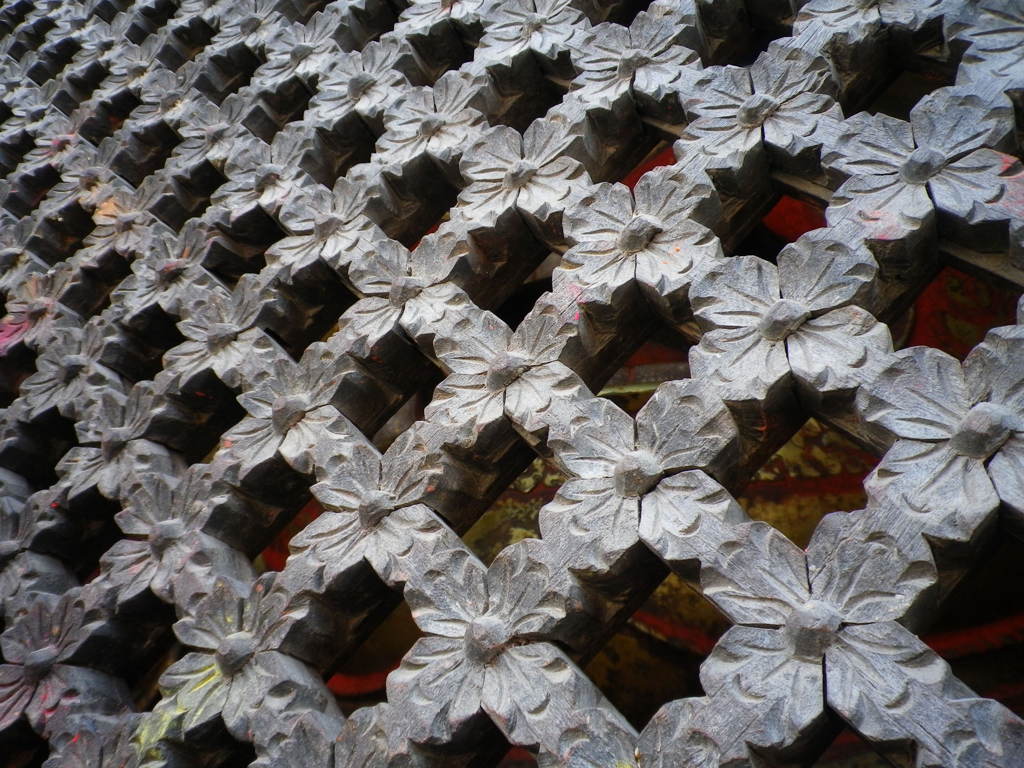 IMGP0321