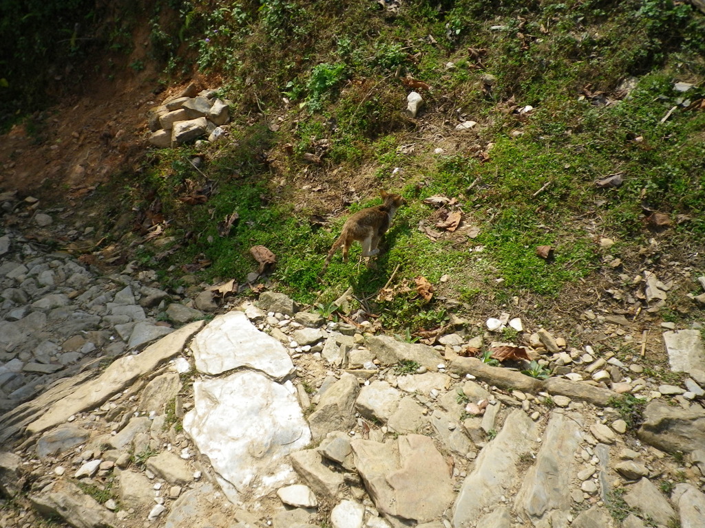 IMGP0216