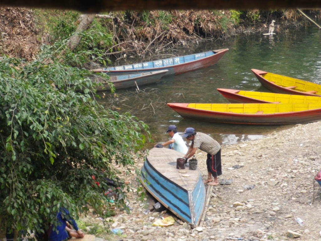 IMGP0229