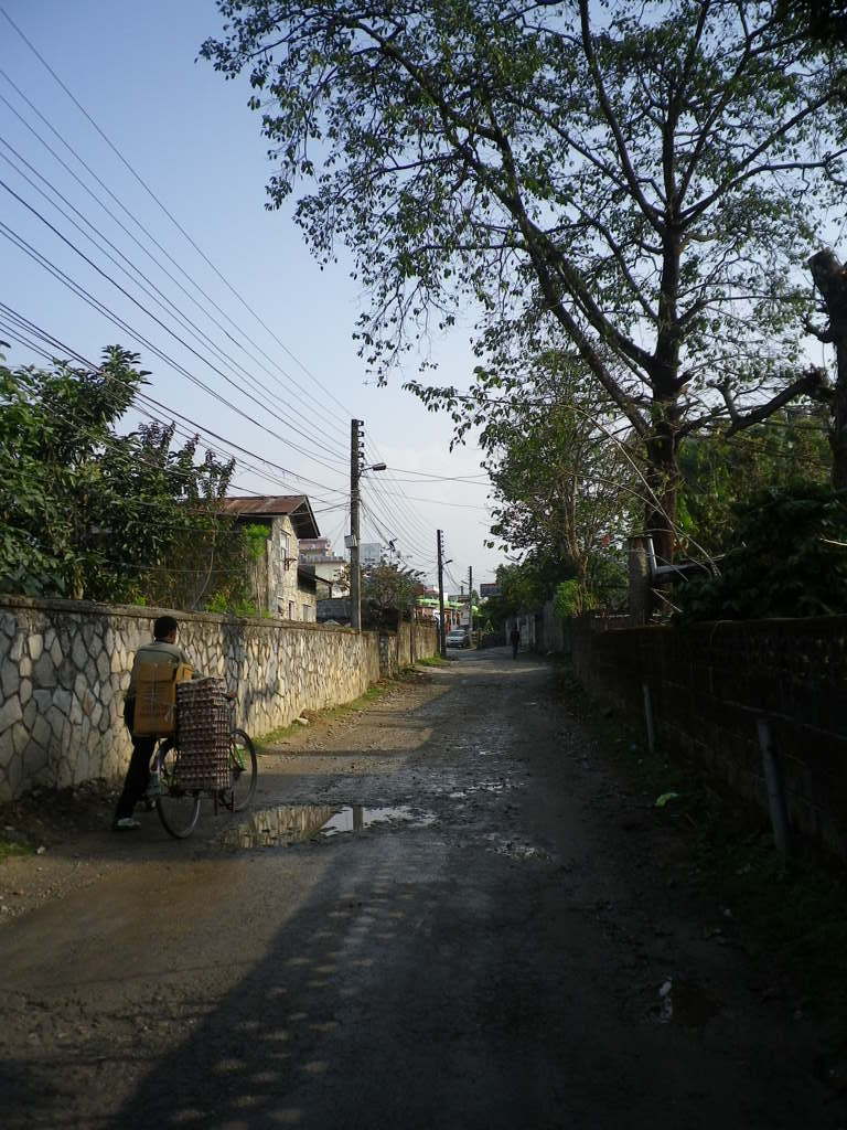 IMGP0239