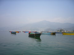 IMGP0202