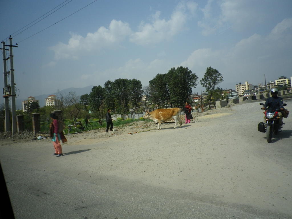 IMGP0256