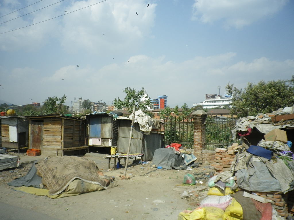 IMGP0255