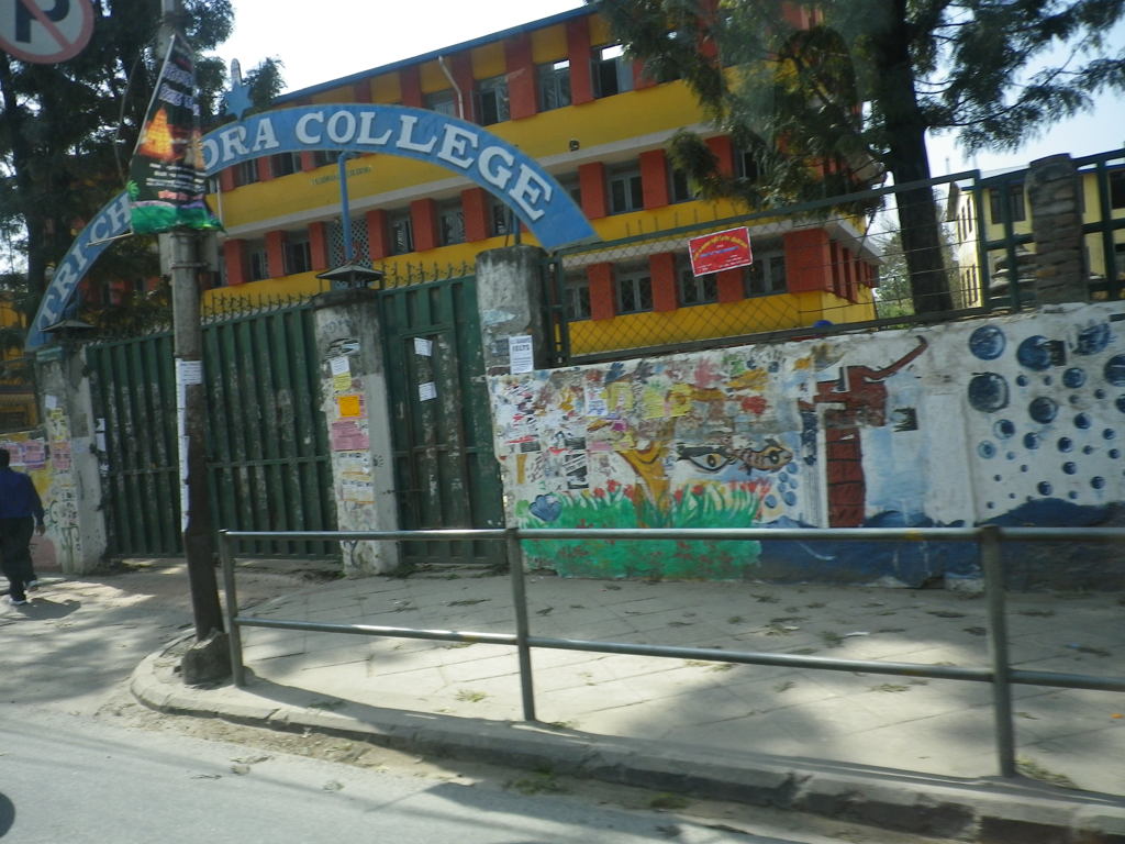 IMGP0252