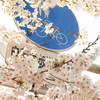 青に映える