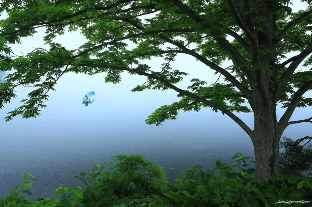 霧深き朝に