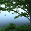 霧深き朝に