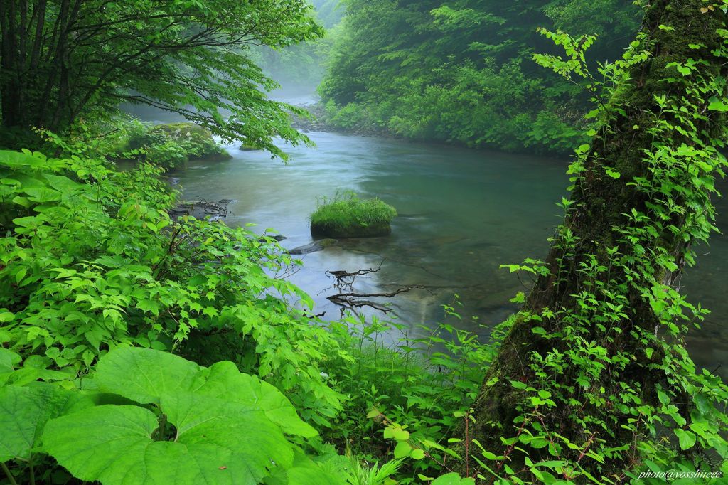 静寂