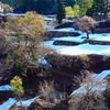 残雪の棚田　春色に輝いて