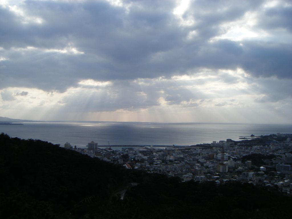 DSCF0553
