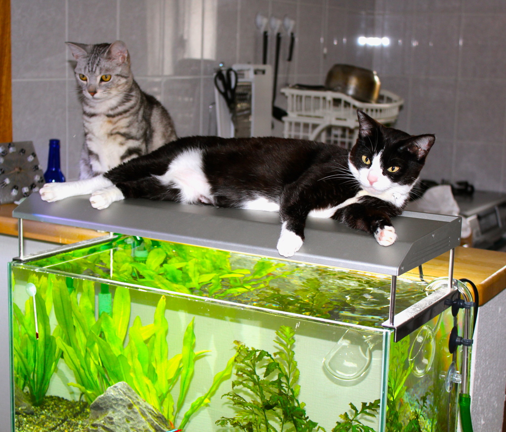 お気に入りの場所