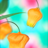 花ランプ