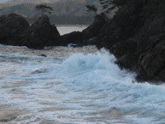 泡立つ海、粟立つ俺