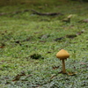 IMGP7857