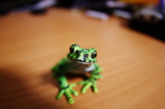カエル