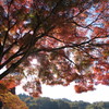 紅空