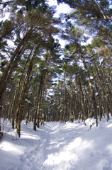 雪山を行く