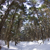 雪山を行く