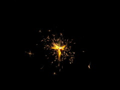 夏夜の花