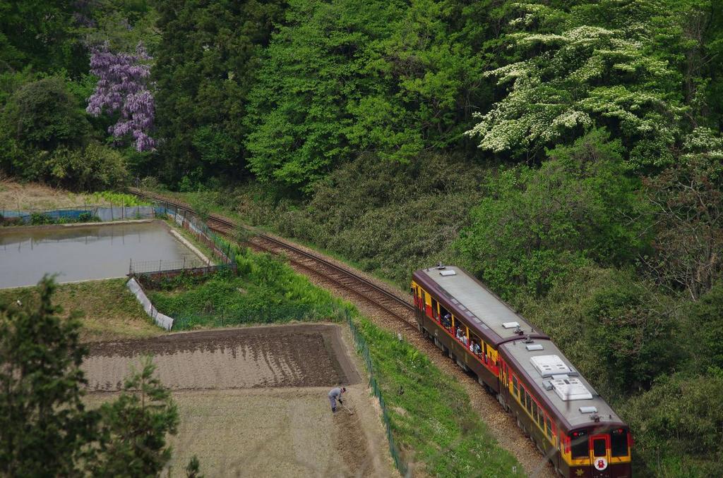 田植え見物　IMGP4848