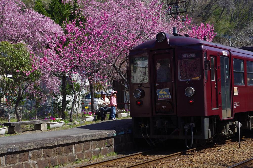 おじいちゃんと孫　aIMGP3576b